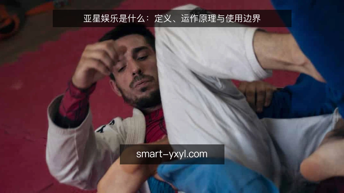 亚星娱乐是什么：定义、运作原理与使用边界