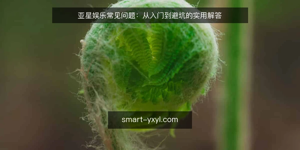 亚星娱乐常见问题：从入门到避坑的实用解答 — 亚星娱乐是什么？它主要提供哪些服务？ 配图